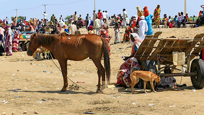 فتيات سودانيات نازحات يجلسن في ظلال عربة الخيول في مخيم كلمة